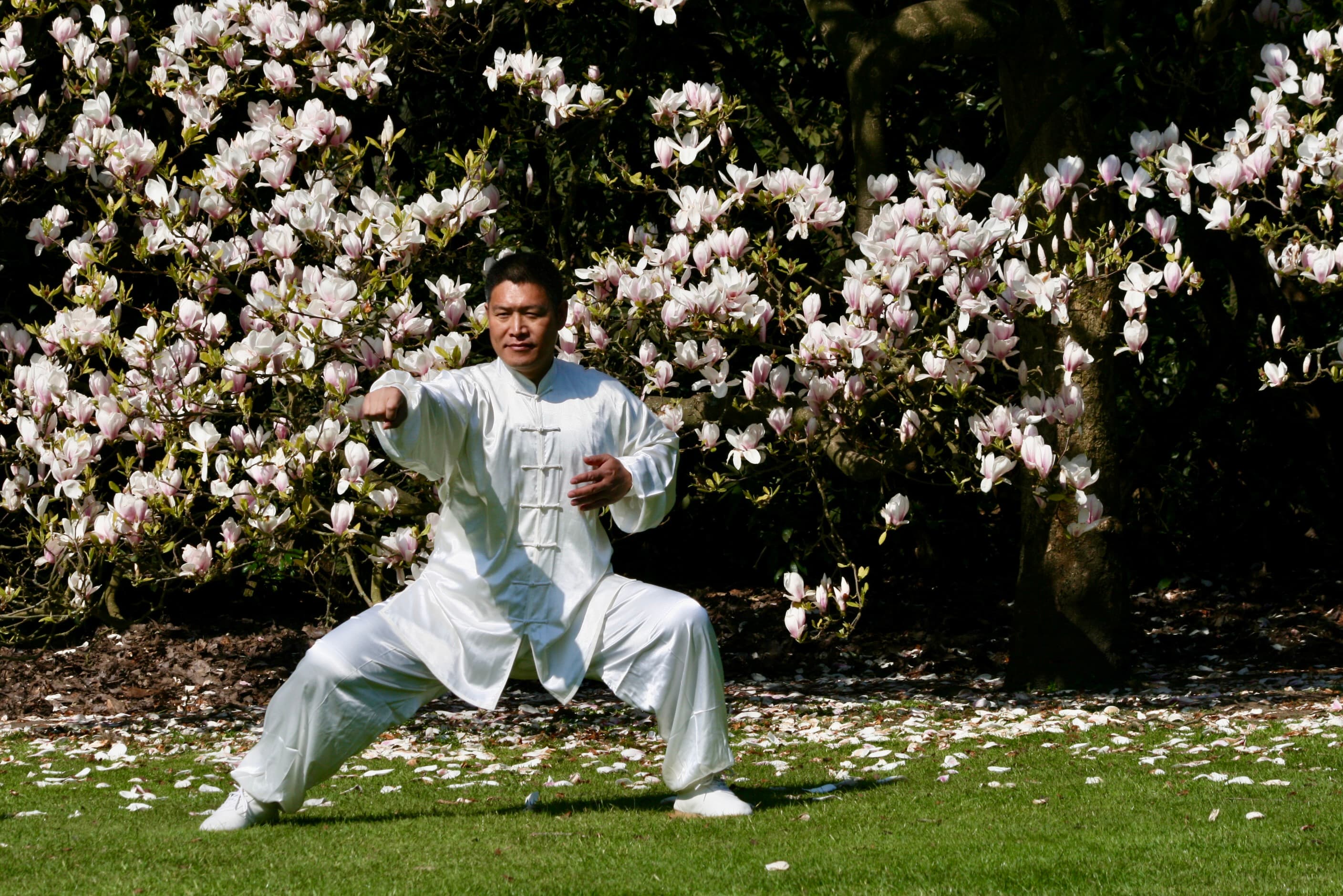 Shifu Liu punching in a low stance beneath magnolia blossom